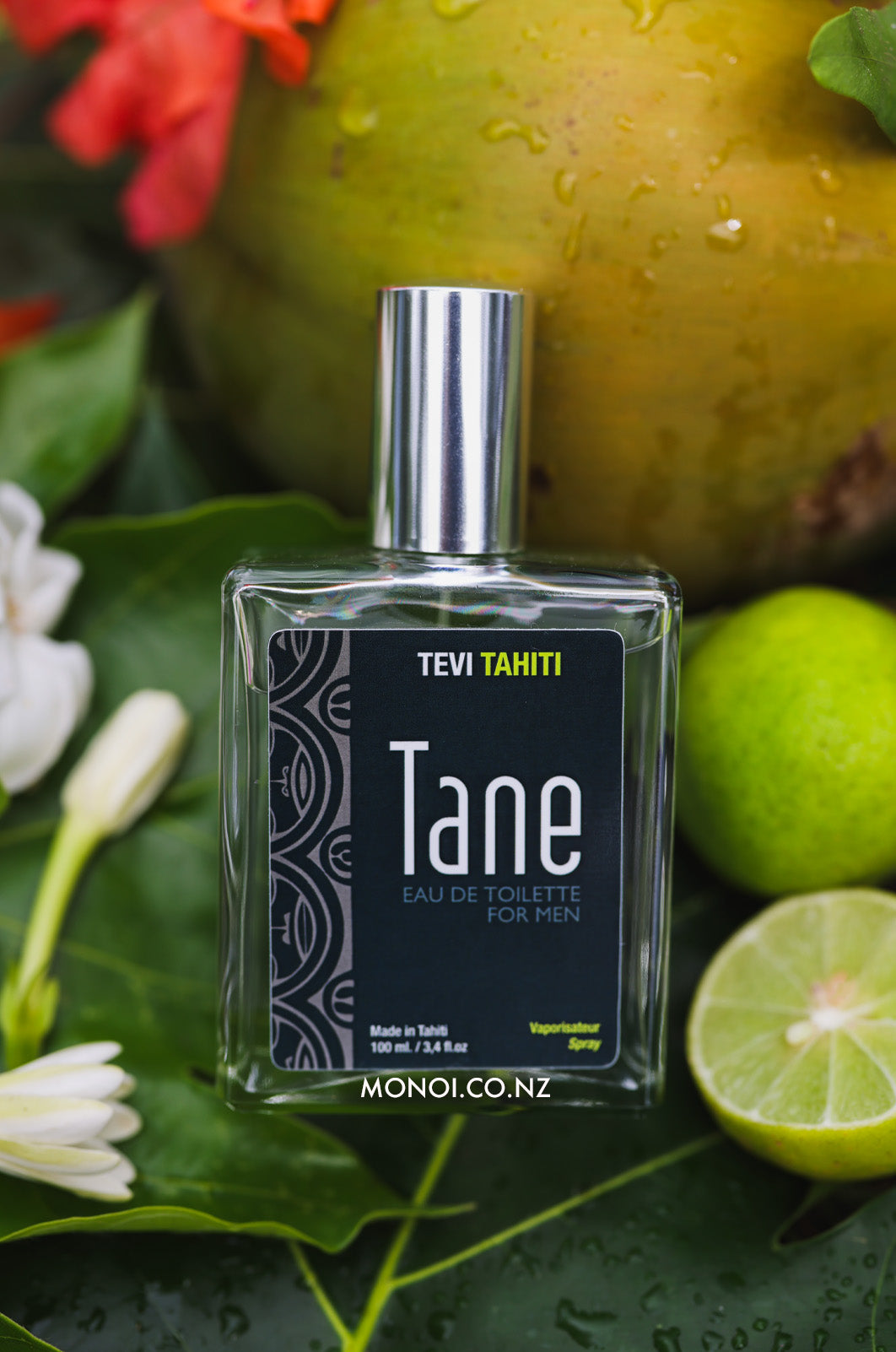 TEVI TANE Mens Eau de Toilette